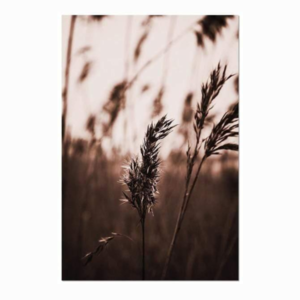 Quadro nordico