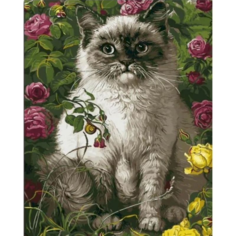 Quadro Natura e Figure