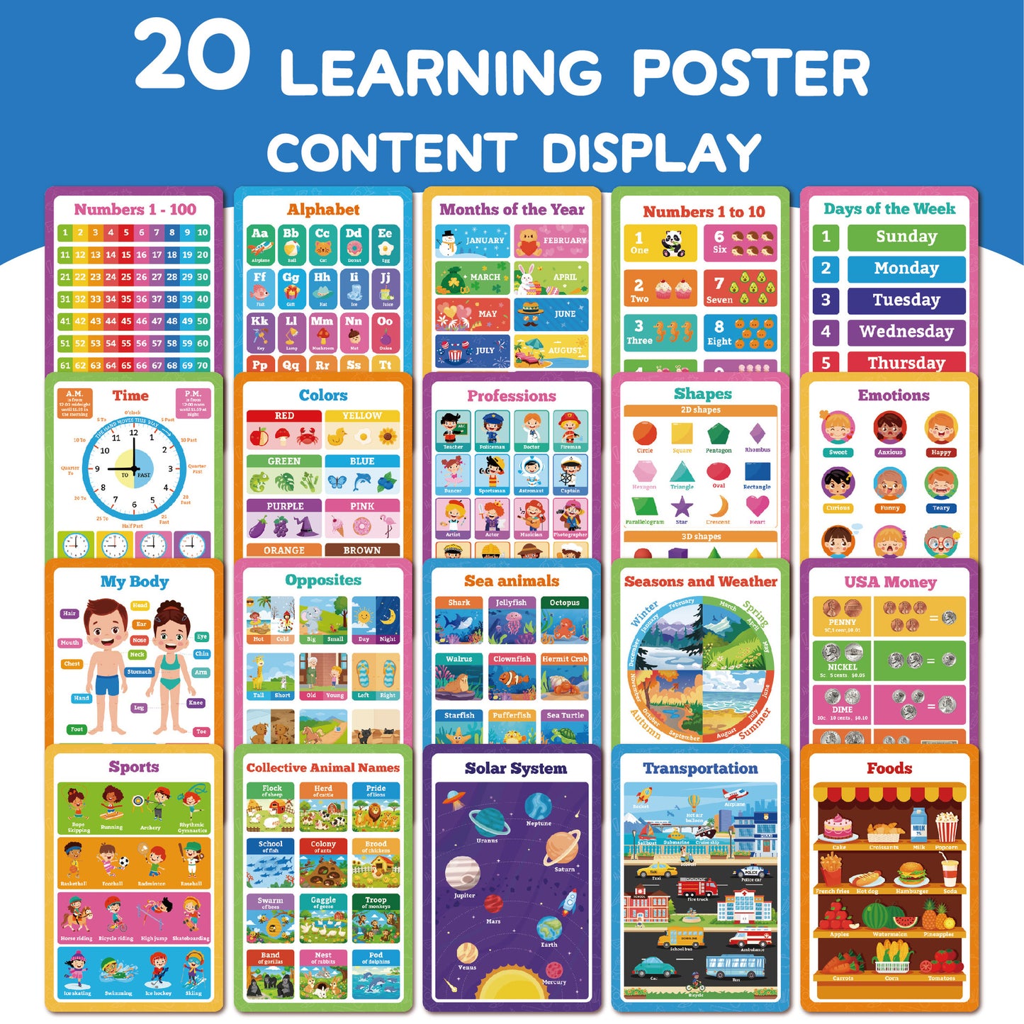 Poster Didattico