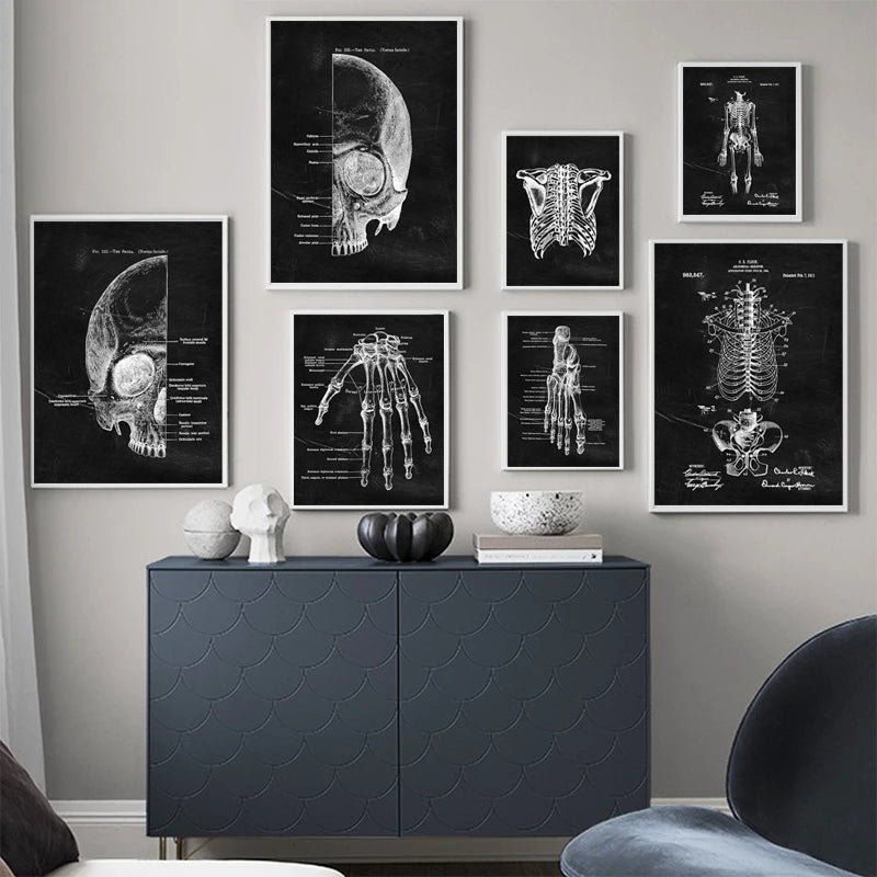 Quadro anatomico
