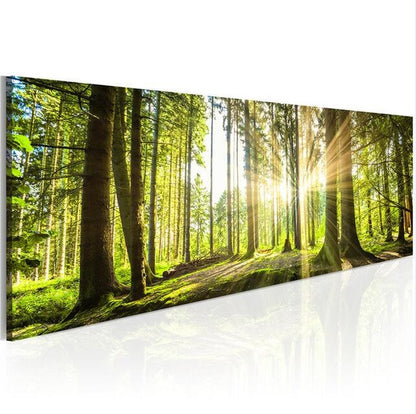 Quadro senza cornice
