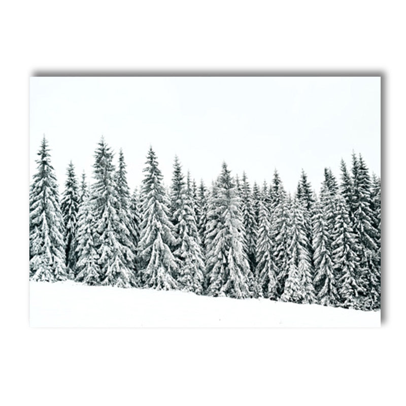 Quadro animali nordici