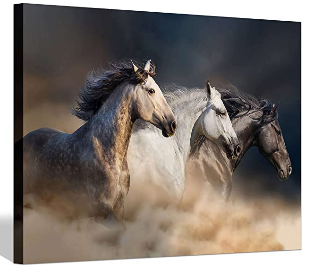 Quadro cavallo camera