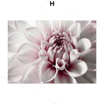 Quadro peonie