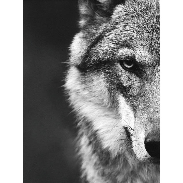 Poster Lupo nella foresta