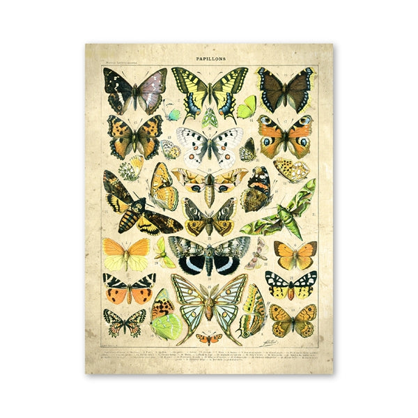 Quadro Personalizzato