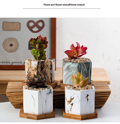 Vaso piante grasse ceramica