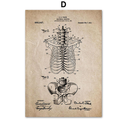 Quadro su tela Diagrammi anatomici vintage