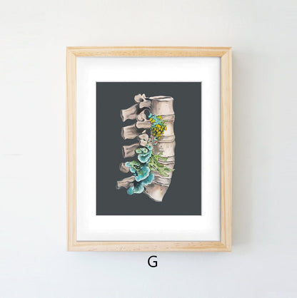 Quadro anatomico