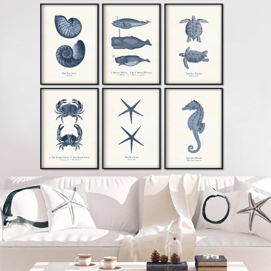 Quadro su tela Creature marine e molluschi