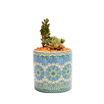 Vaso piante grasse mandala