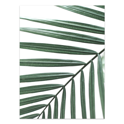 Quadro Piante tropicali