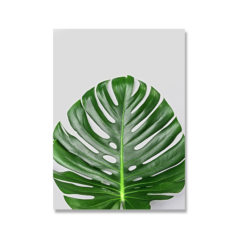 Quadro pianta verde