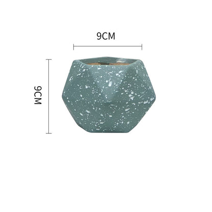 Vaso Piante Grasse