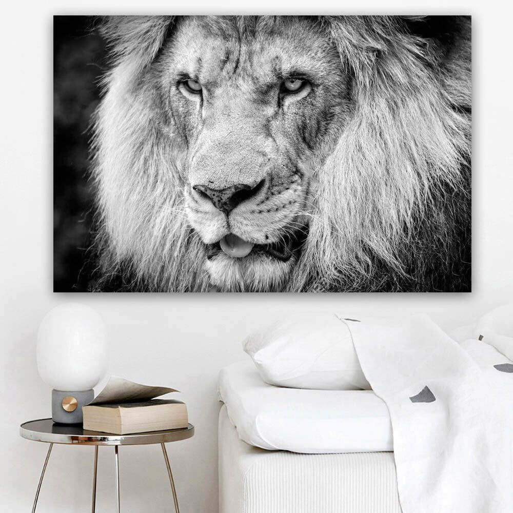 Quadro leone
