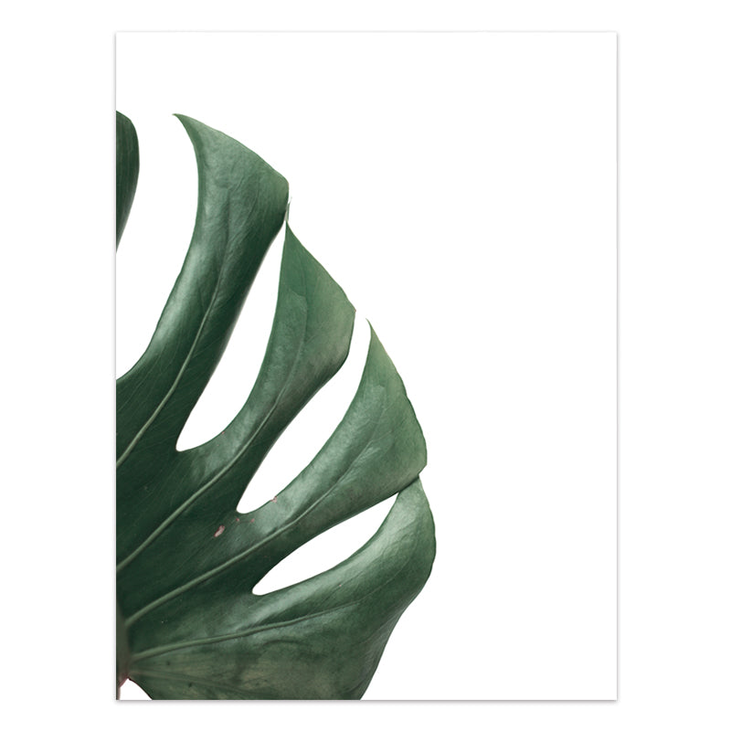 Quadro Piante tropicali