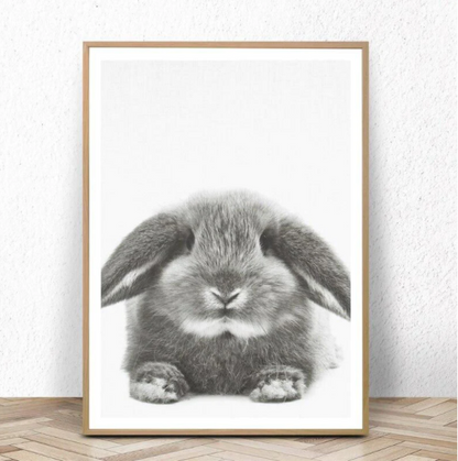 Quadro digitale