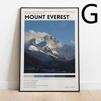 Quadro cima alpina