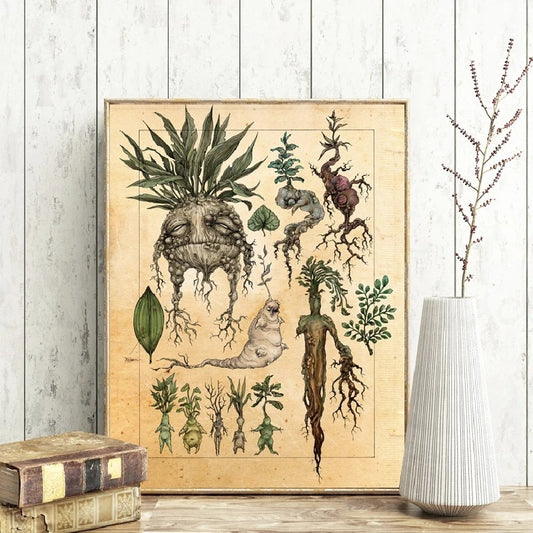 Poster Studio botanico piante