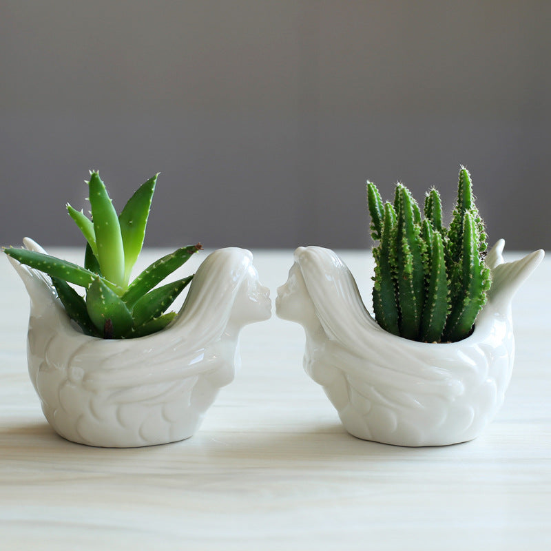 Vaso per succulente