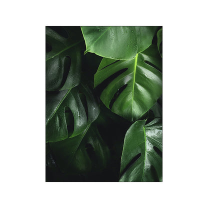 Quadro