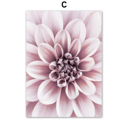 Quadro peonie e rose