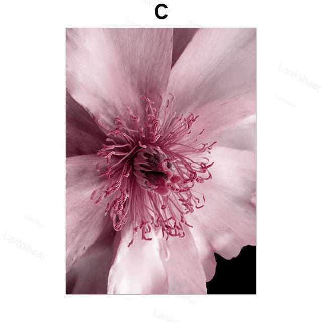 Quadro Peonie