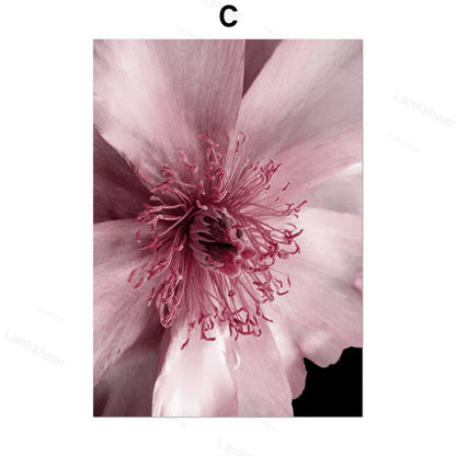 Quadro Peonie