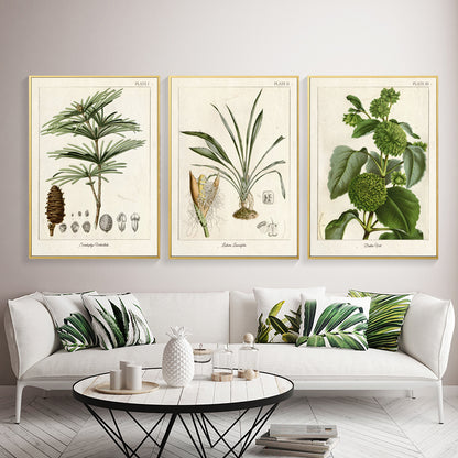 Quadro nordico