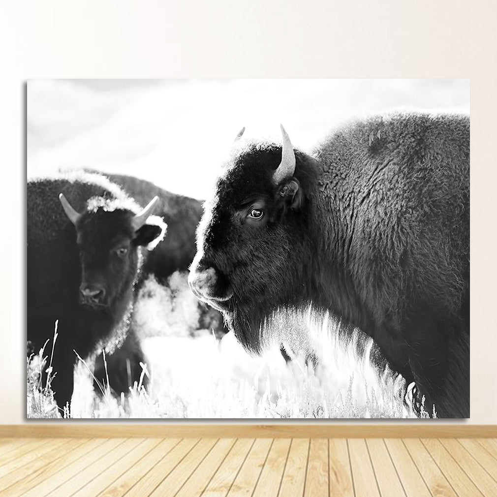 Quadro decorativo