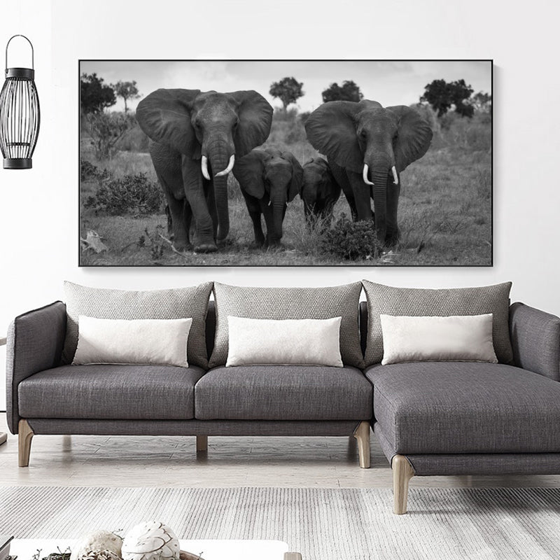 Poster elefanti