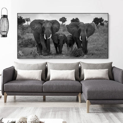 Poster elefanti