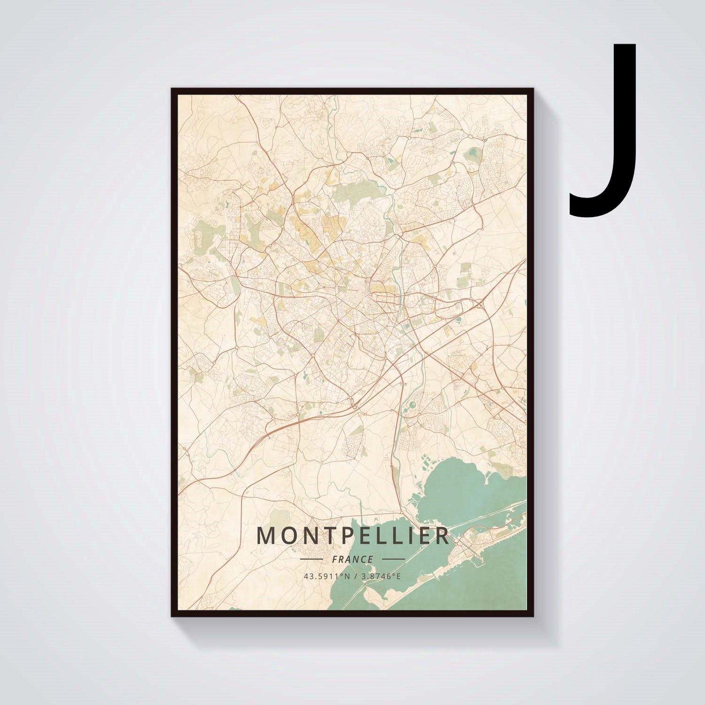 Quadro paesaggio Grenoble