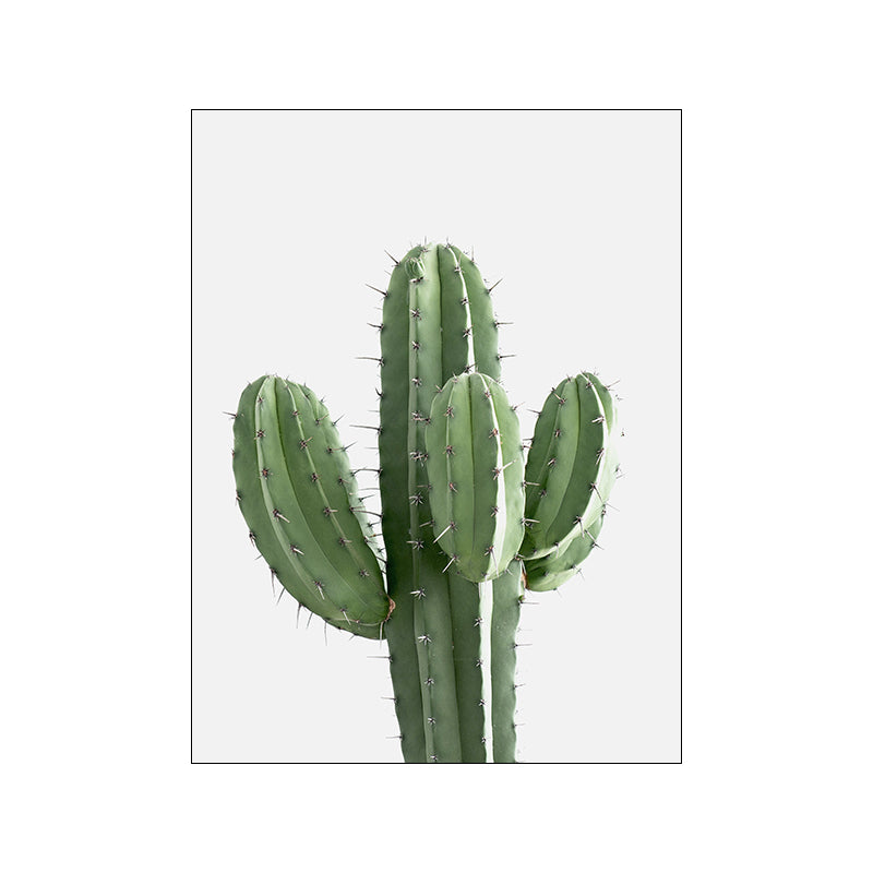 Quadro