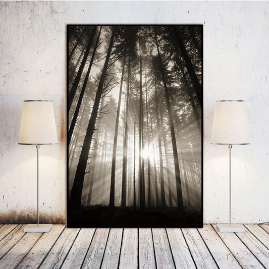 Quadro su tela Foresta con raggi solari