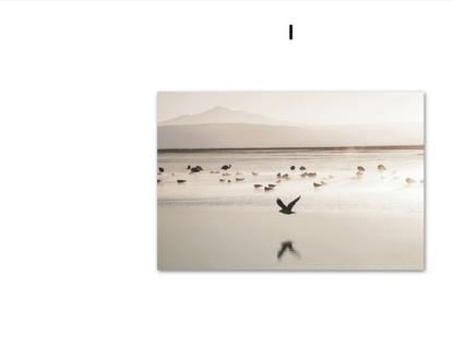 Quadro Decorativo