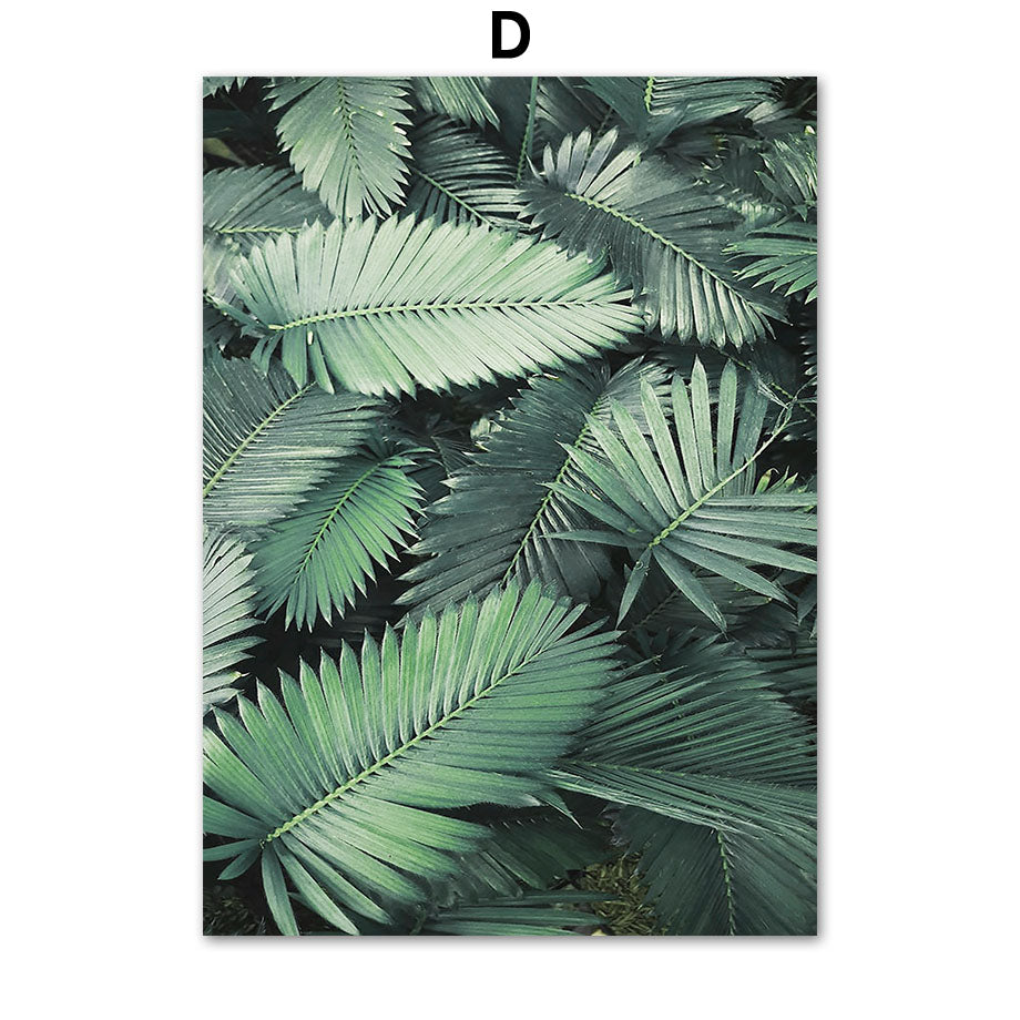 Poster Camera