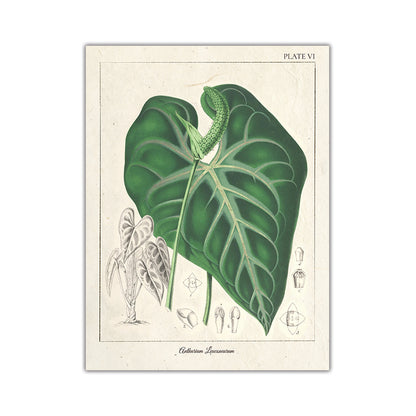 Quadro nordico