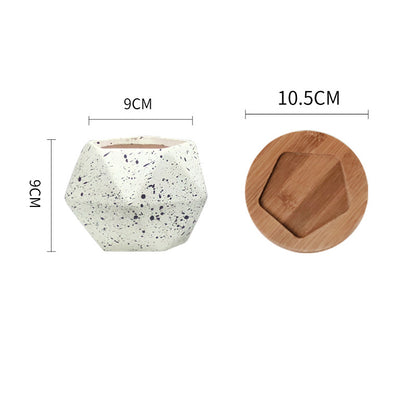 Vaso Piante Grasse