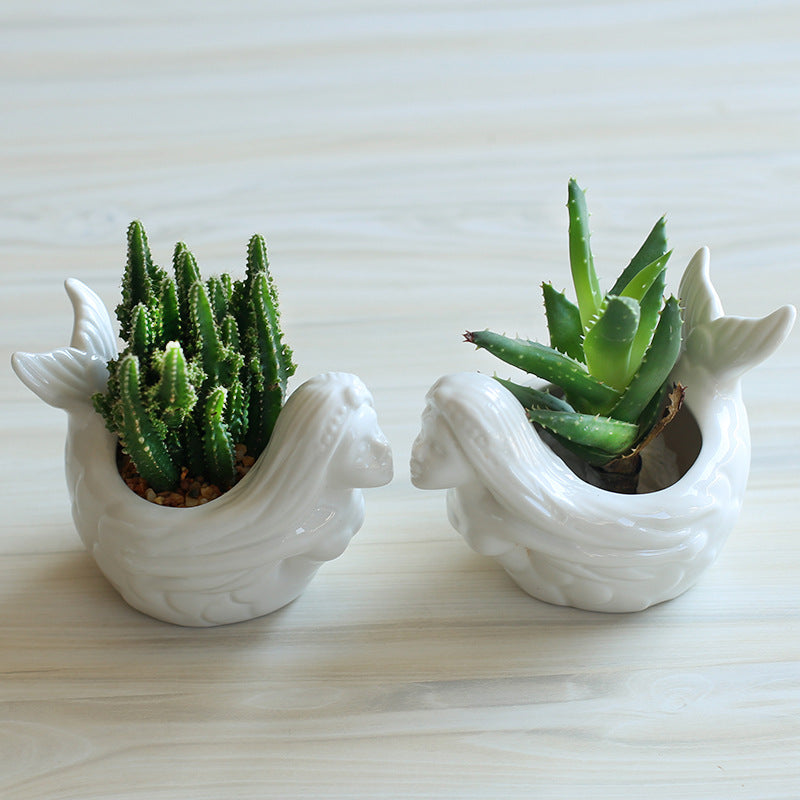 Vaso per succulente