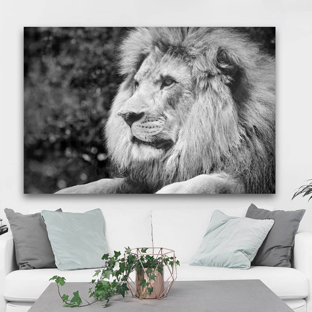Quadro leone