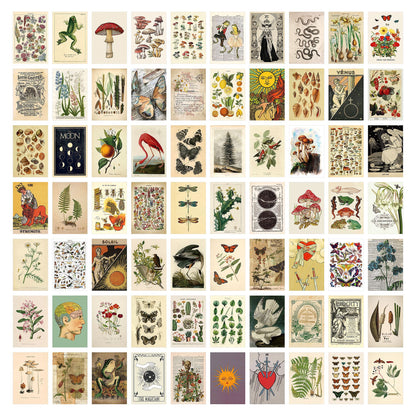Cartolina Decorativa