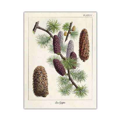 Quadro nordico