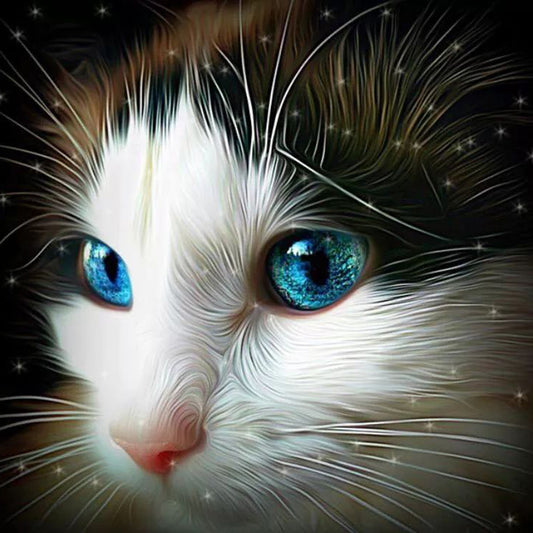 Quadro su tela Gatto bianco occhi azzurri