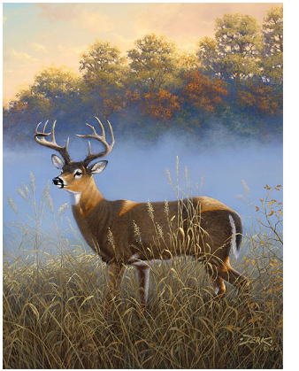 Kit pittura per numero nebbia