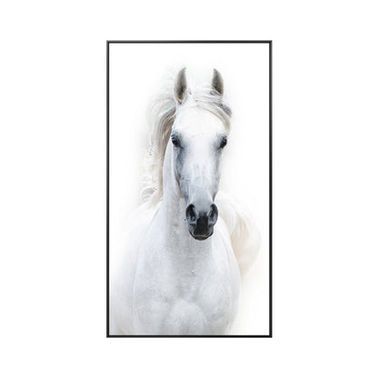 Stampa Cavallo Bianco