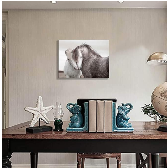 Quadro cavallo camera