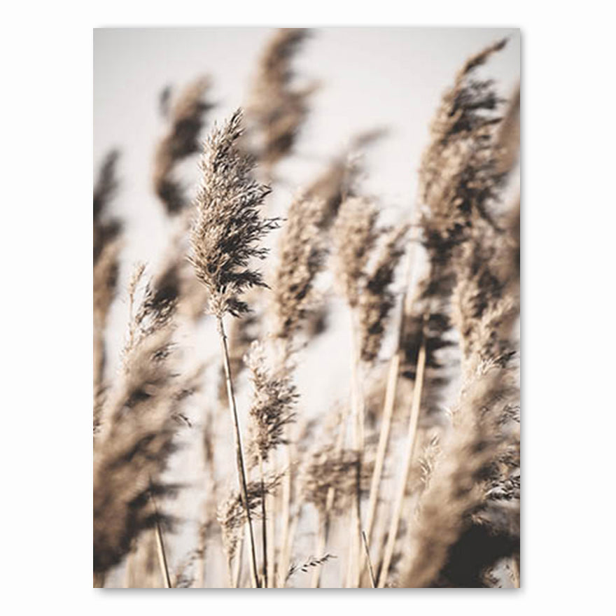 Quadro paesaggio