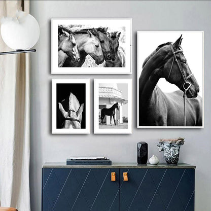 Quadro Cavallo Bianco e Nero