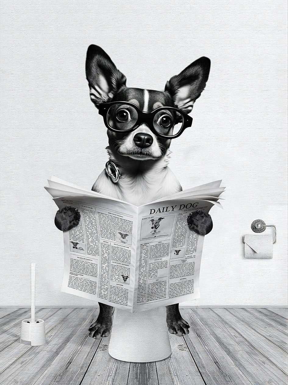 Poster animali